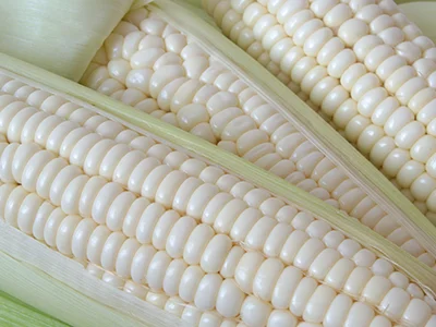 White maize shortage – first imported vessel offloaded in Durban