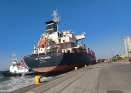 TPT East London has welcomed its first soybean vessel